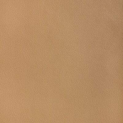 KRAVET DESIGN KRAVET DESIGN MAJOR.1616.0 in MAJOR-1616 Fabri
