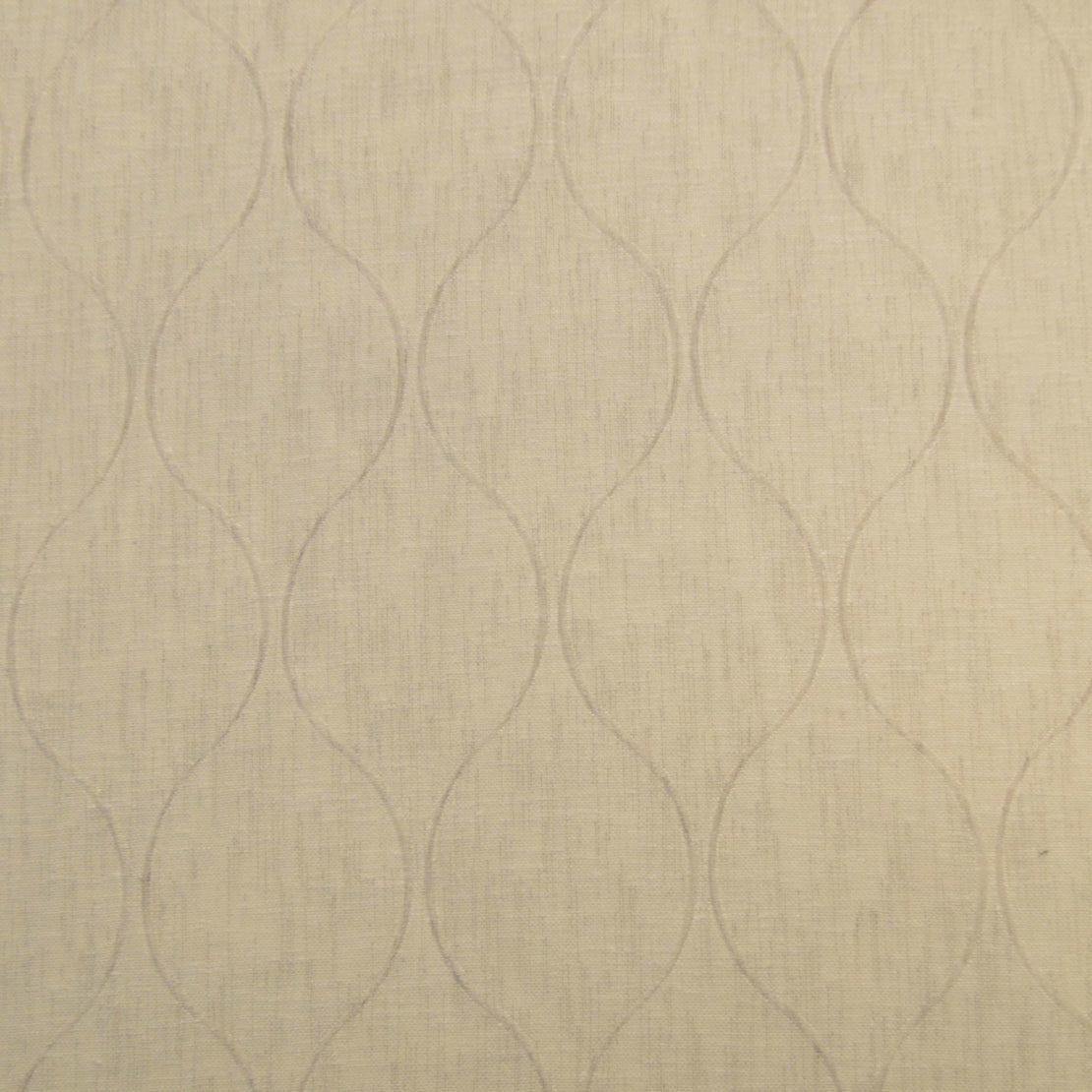 Eade’s MARCO COCONUT COCONUT