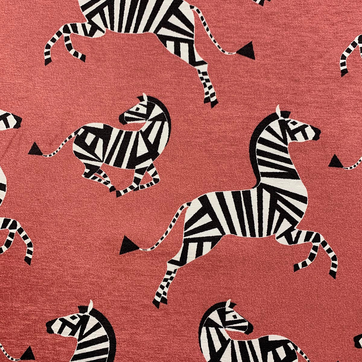 Eade’s MARTY GERANIUM GERANIUM