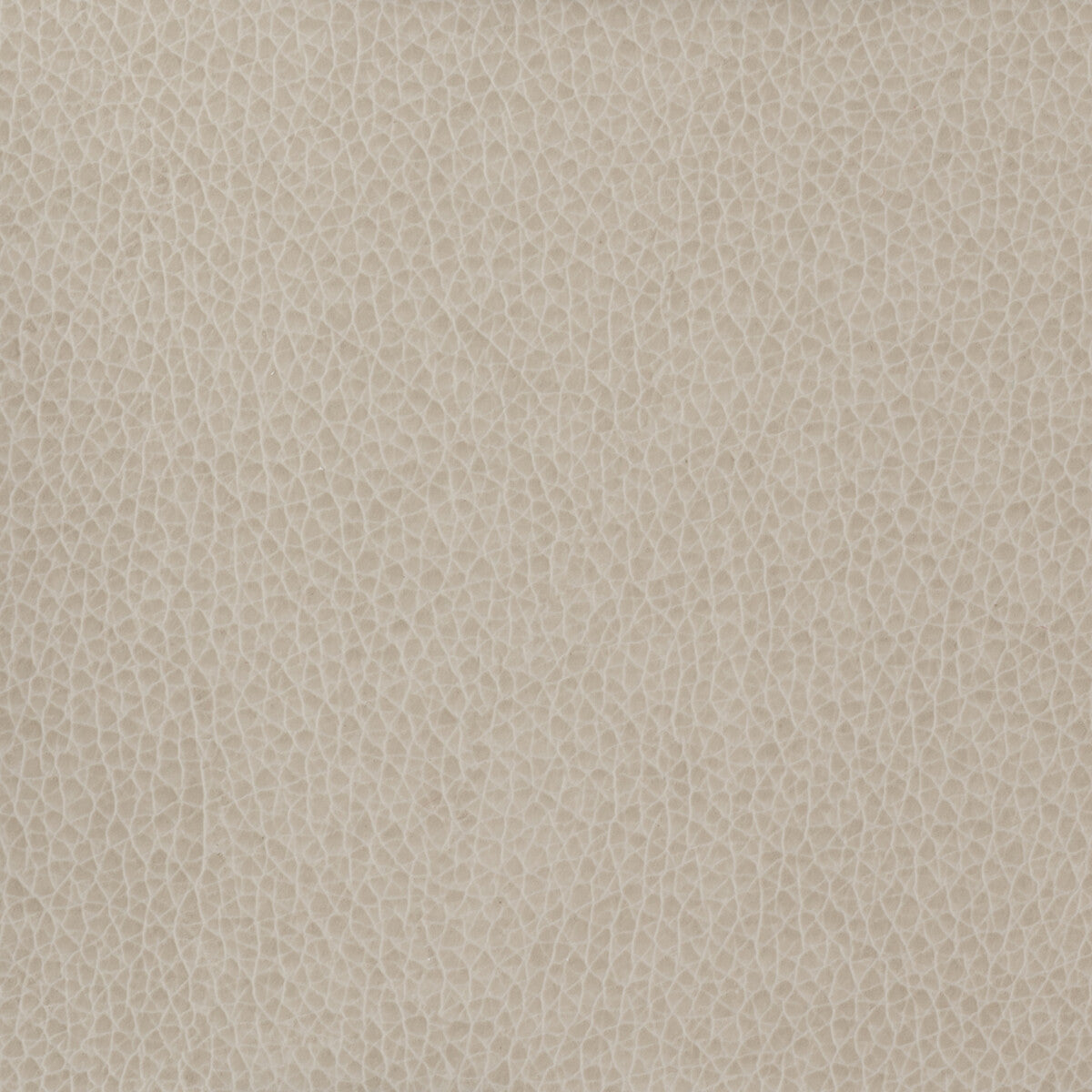 KRAVET BASICS MATTER.11.0 KRAVET BASICS MATTER-11 Fabric - Eade's Wallpaper