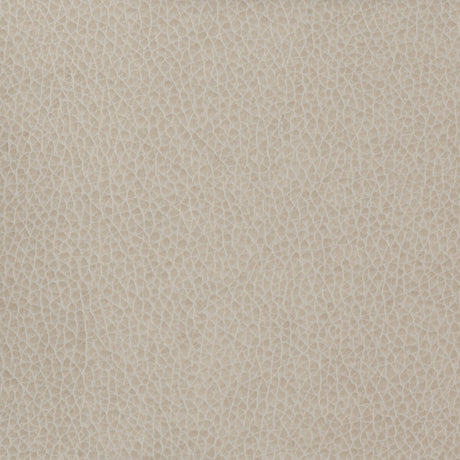 KRAVET BASICS MATTER.11.0 KRAVET BASICS MATTER-11 Fabric - Eade's Wallpaper