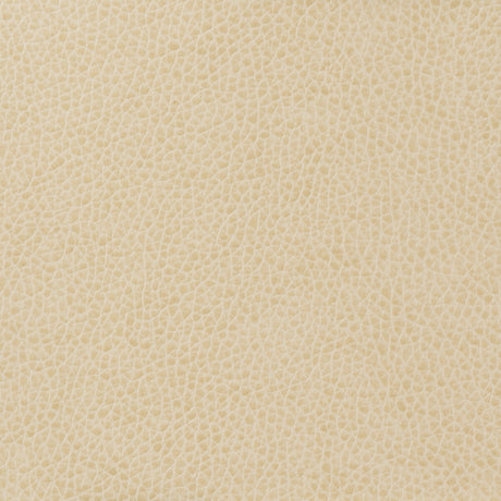 KRAVET BASICS MATTER.111.0 KRAVET BASICS MATTER-111 Fabric - Eade's Wallpaper