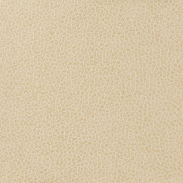 KRAVET BASICS MATTER.111.0 KRAVET BASICS MATTER-111 Fabric - Eade's Wallpaper