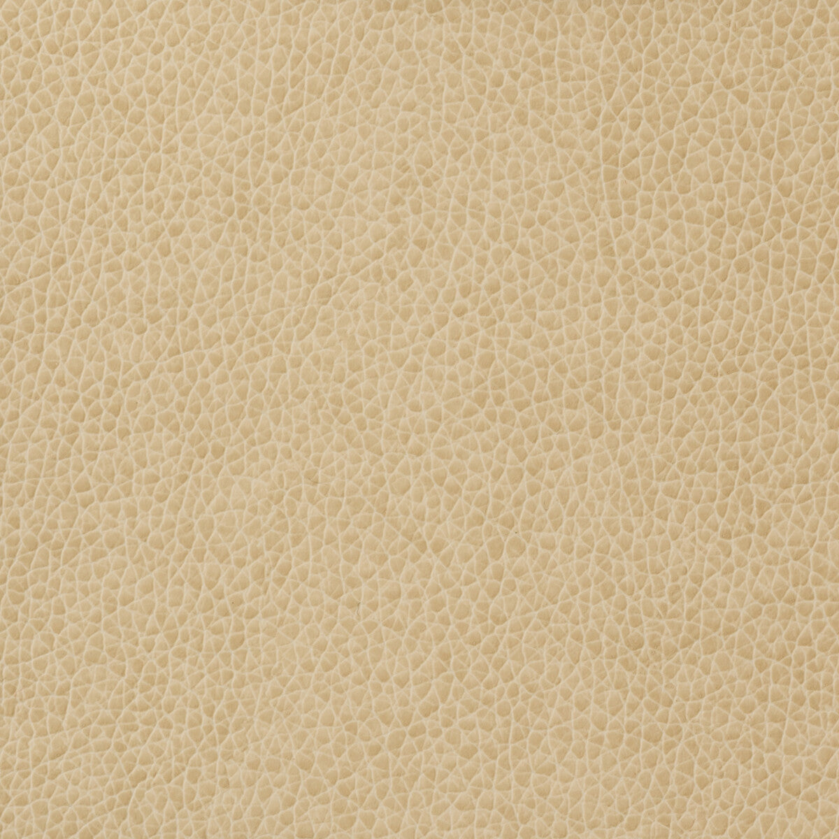 KRAVET BASICS MATTER.1116.0 KRAVET BASICS MATTER-1116 Fabric - Eade's Wallpaper