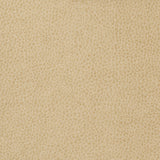 KRAVET BASICS MATTER.1116.0 KRAVET BASICS MATTER-1116 Fabric - Eade's Wallpaper