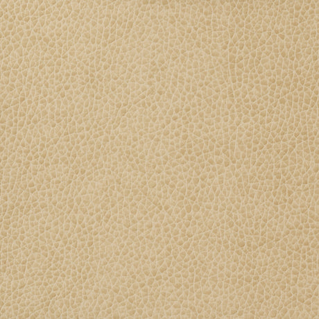 KRAVET BASICS MATTER.1116.0 KRAVET BASICS MATTER-1116 Fabric - Eade's Wallpaper