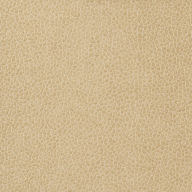 KRAVET BASICS MATTER.1116.0 KRAVET BASICS MATTER-1116 Fabric - Eade's Wallpaper