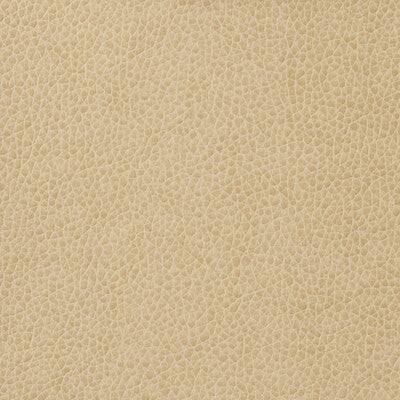 KRAVET BASICS MATTER.1116.0 KRAVET BASICS MATTER-1116 Fabric - Eade's Wallpaper