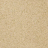 KRAVET BASICS MATTER.1116.0 KRAVET BASICS MATTER-1116 Fabric - Eade's Wallpaper