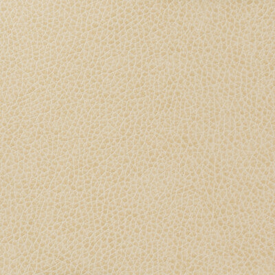 KRAVET BASICS MATTER.111.0 KRAVET BASICS MATTER-111 Fabric - Eade's Wallpaper