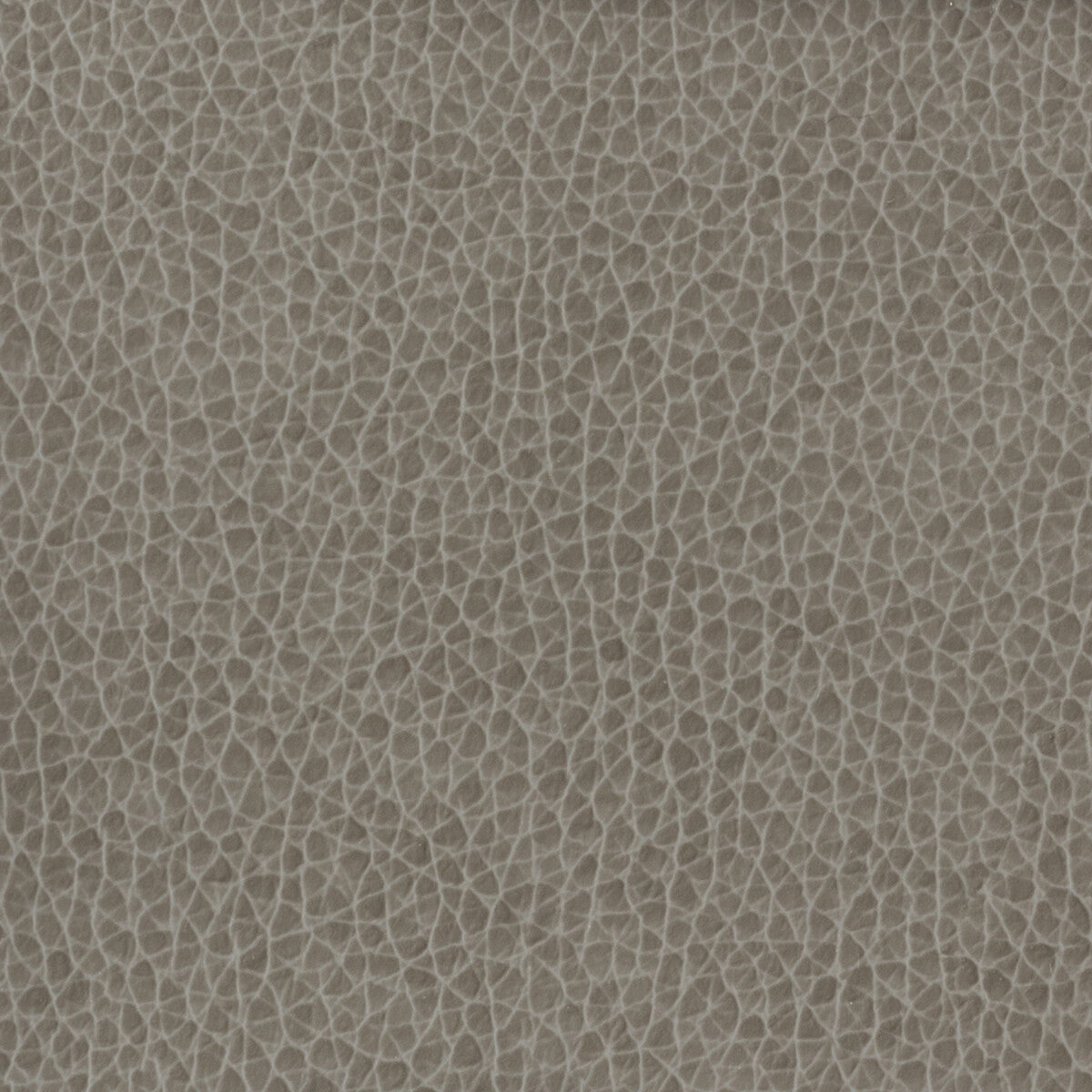 KRAVET BASICS MATTER.1121.0 KRAVET BASICS MATTER-1121 Fabric - Eade's Wallpaper