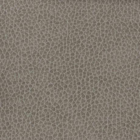 KRAVET BASICS MATTER.1121.0 KRAVET BASICS MATTER-1121 Fabric - Eade's Wallpaper