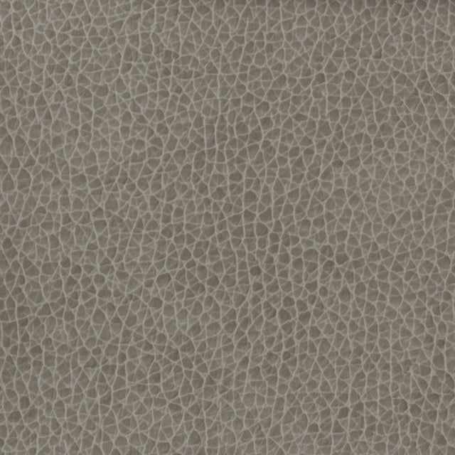 KRAVET BASICS MATTER.1121.0 KRAVET BASICS MATTER-1121 Fabric - Eade's Wallpaper