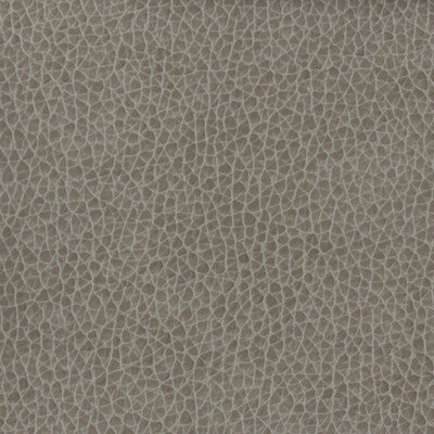 KRAVET BASICS MATTER.1121.0 KRAVET BASICS MATTER-1121 Fabric - Eade's Wallpaper