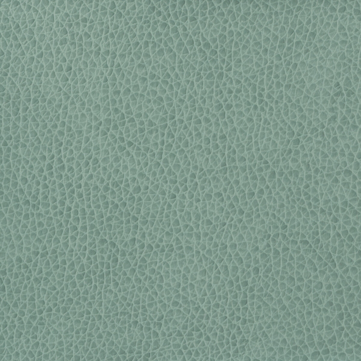 KRAVET BASICS MATTER.15.0 KRAVET BASICS MATTER-15 Fabric - Eade's Wallpaper