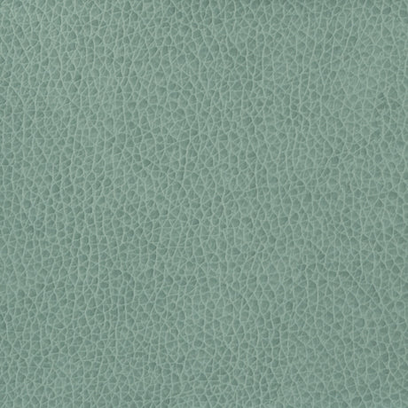 KRAVET BASICS MATTER.15.0 KRAVET BASICS MATTER-15 Fabric - Eade's Wallpaper