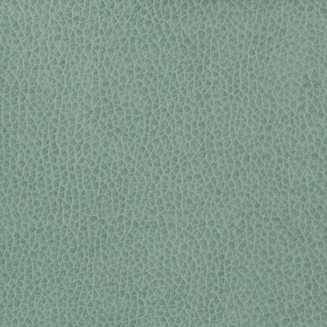 KRAVET BASICS MATTER.15.0 KRAVET BASICS MATTER-15 Fabric - Eade's Wallpaper