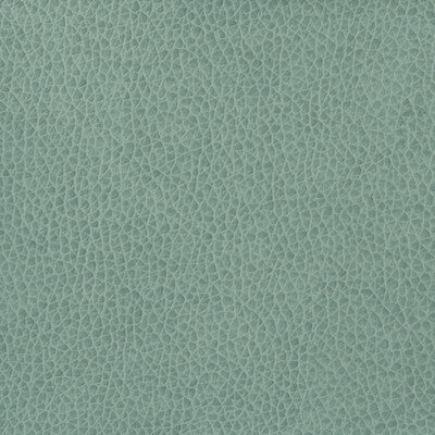 KRAVET BASICS MATTER.15.0 KRAVET BASICS MATTER-15 Fabric - Eade's Wallpaper