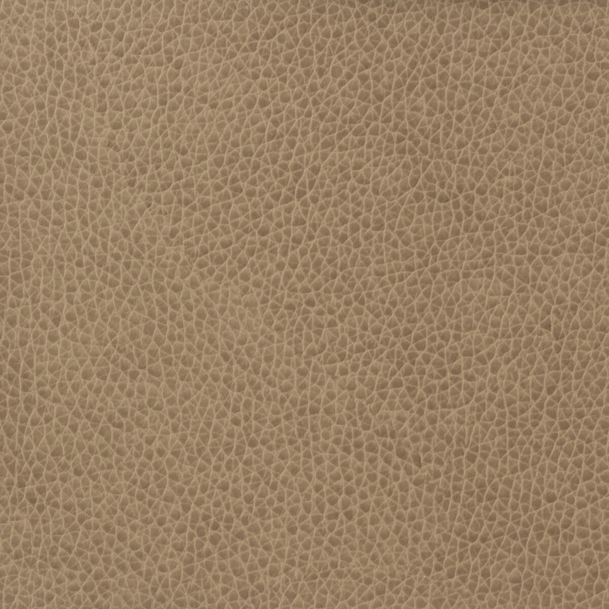 KRAVET BASICS MATTER.1611.0 KRAVET BASICS MATTER-1611 Fabric - Eade's Wallpaper