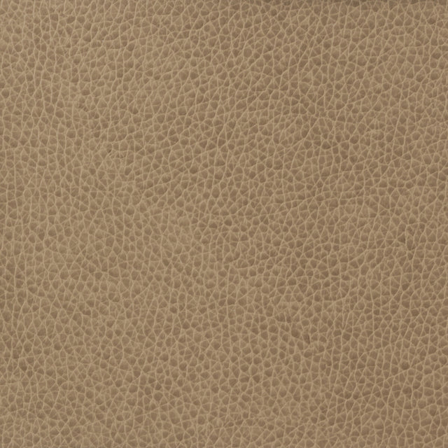 KRAVET BASICS MATTER.1611.0 KRAVET BASICS MATTER-1611 Fabric - Eade's Wallpaper
