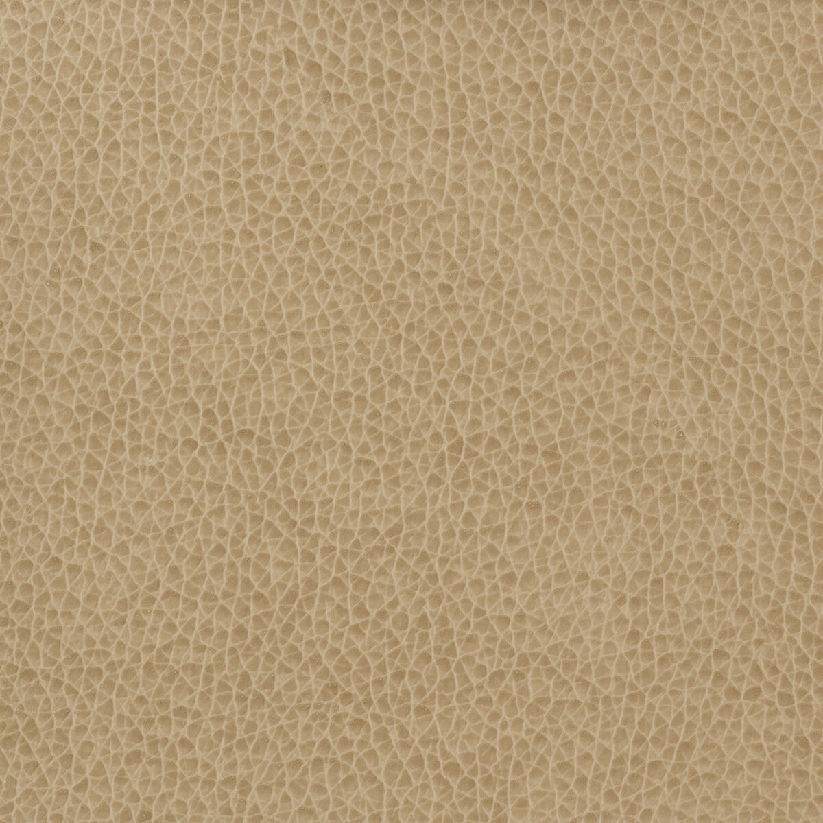 KRAVET BASICS MATTER.1616.0 KRAVET BASICS MATTER-1616 Fabric - Eade's Wallpaper