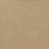 KRAVET BASICS MATTER.1616.0 KRAVET BASICS MATTER-1616 Fabric - Eade's Wallpaper