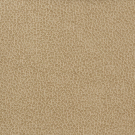 KRAVET BASICS MATTER.1616.0 KRAVET BASICS MATTER-1616 Fabric - Eade's Wallpaper