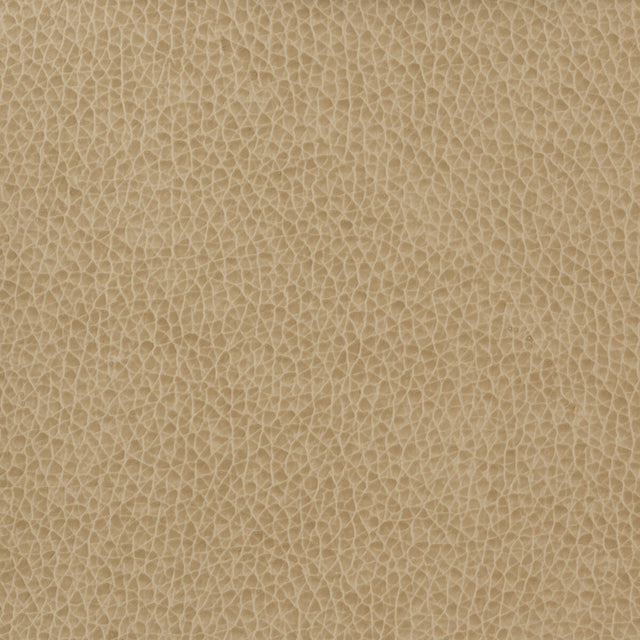 KRAVET BASICS MATTER.1616.0 KRAVET BASICS MATTER-1616 Fabric - Eade's Wallpaper