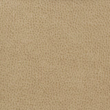 KRAVET BASICS MATTER.1616.0 KRAVET BASICS MATTER-1616 Fabric - Eade's Wallpaper