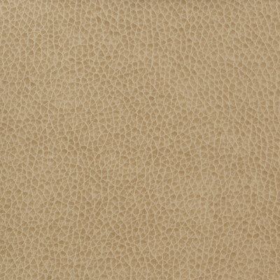 KRAVET BASICS MATTER.1616.0 KRAVET BASICS MATTER-1616 Fabric - Eade's Wallpaper