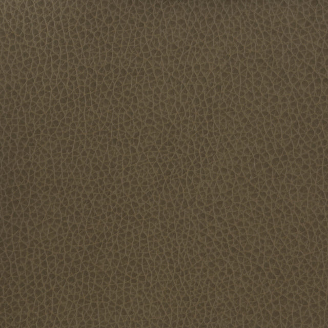 KRAVET BASICS MATTER.21.0 KRAVET BASICS MATTER-21 Fabric - Eade's Wallpaper