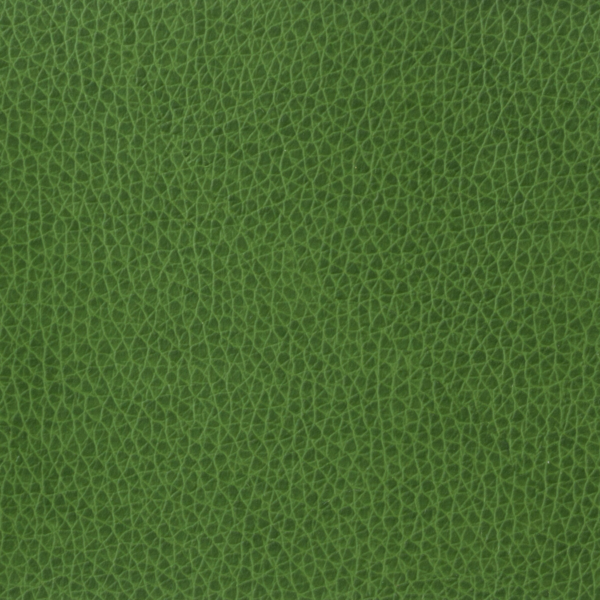 KRAVET BASICS MATTER.3.0 KRAVET BASICS MATTER-3 Fabric - Eade's Wallpaper