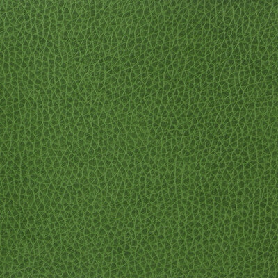 KRAVET BASICS MATTER.3.0 KRAVET BASICS MATTER-3 Fabric - Eade's Wallpaper