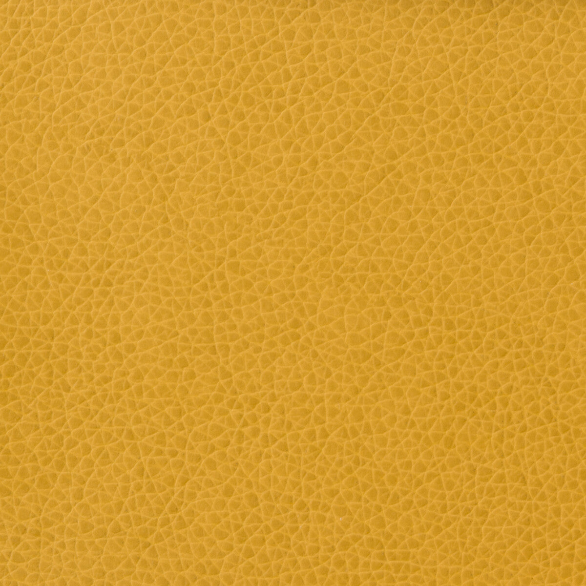 KRAVET BASICS MATTER.414.0 KRAVET BASICS MATTER-414 Fabric - Eade's Wallpaper