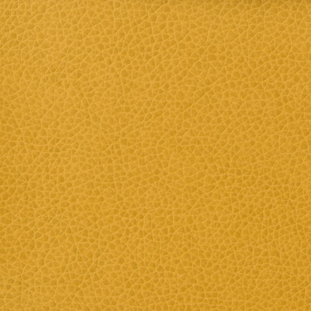 KRAVET BASICS MATTER.414.0 KRAVET BASICS MATTER-414 Fabric - Eade's Wallpaper