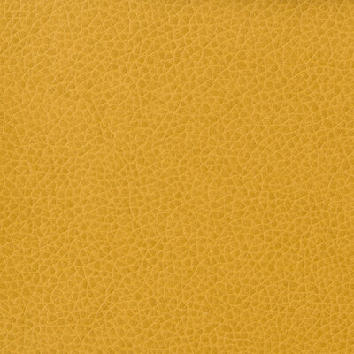 KRAVET BASICS MATTER.414.0 KRAVET BASICS MATTER-414 Fabric - Eade's Wallpaper