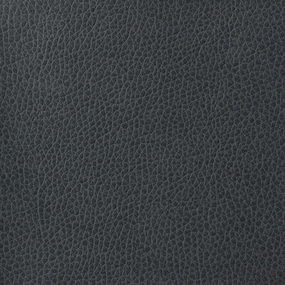 KRAVET BASICS MATTER.52.0 KRAVET BASICS MATTER-52 Fabric - Eade's Wallpaper