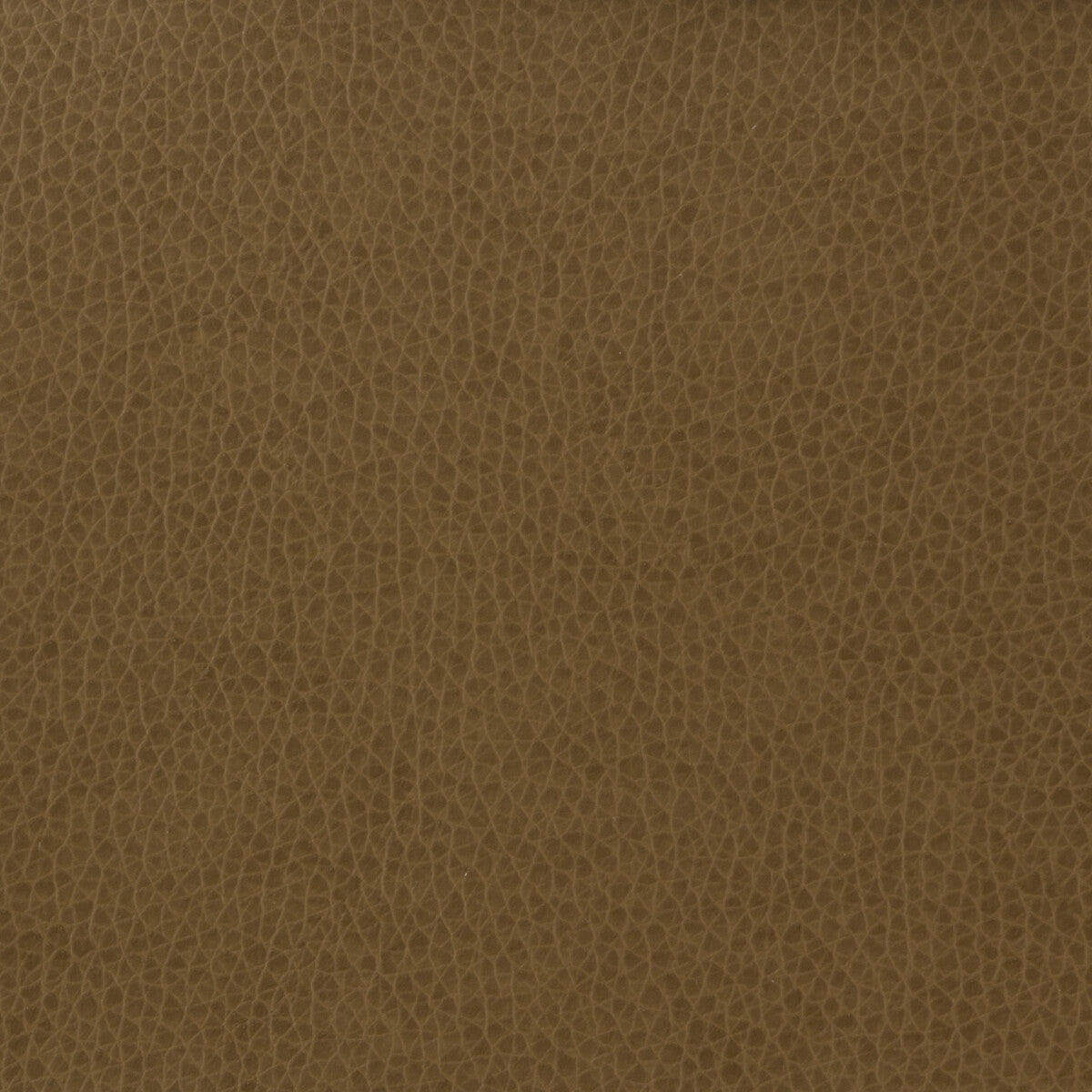 KRAVET BASICS MATTER.606.0 KRAVET BASICS MATTER-606 Fabric - Eade's Wallpaper
