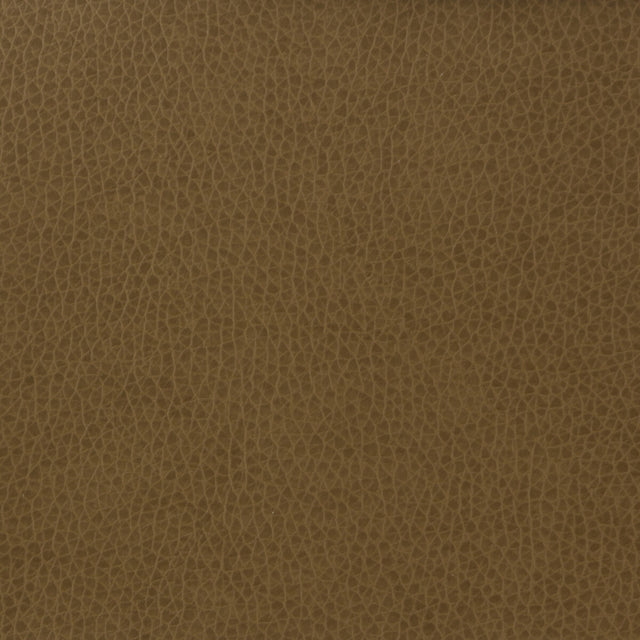 KRAVET BASICS MATTER.606.0 KRAVET BASICS MATTER-606 Fabric - Eade's Wallpaper