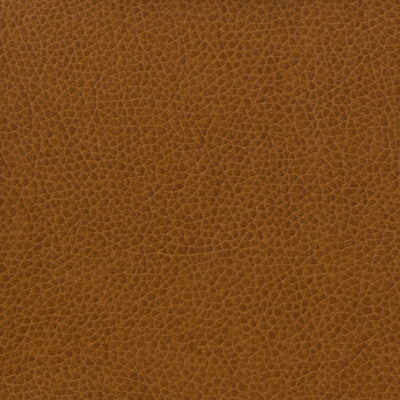 KRAVET BASICS MATTER.616.0 KRAVET BASICS MATTER-616 Fabric - Eade's Wallpaper