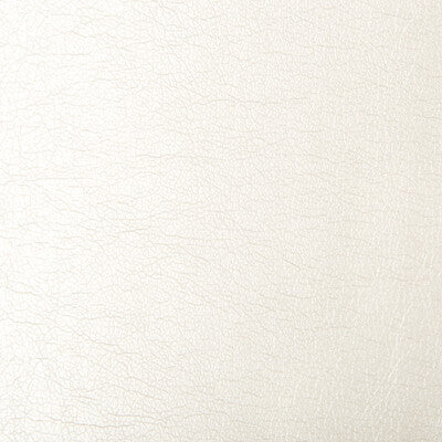 KRAVET CONTRACT MAXIMO.111.0 MAXIMO OPAL Fabric - Eade's Wallpaper