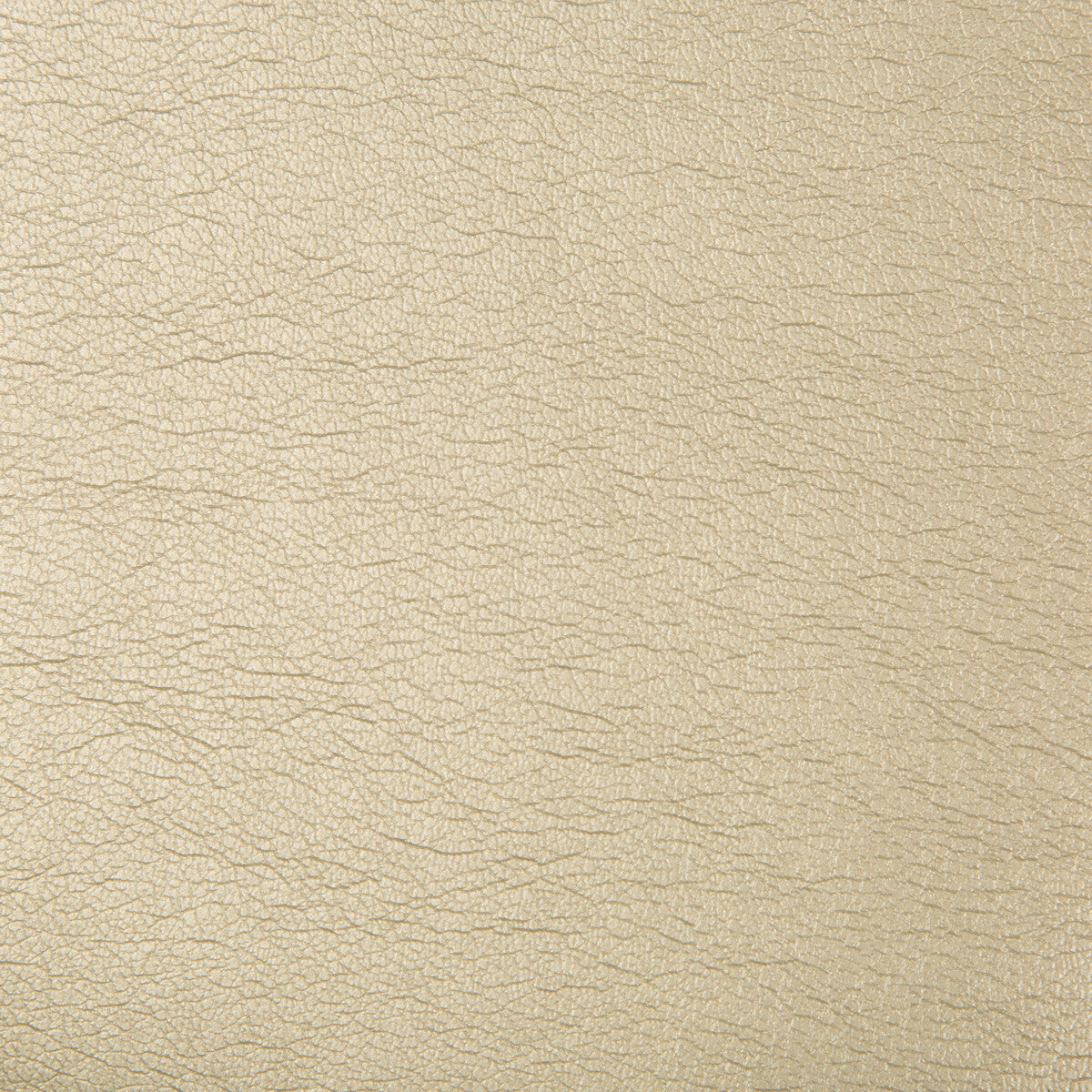 KRAVET CONTRACT MAXIMO.16.0 MAXIMO PEWTER Fabric - Eade's Wallpaper