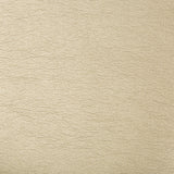 KRAVET CONTRACT MAXIMO.16.0 MAXIMO PEWTER Fabric - Eade's Wallpaper