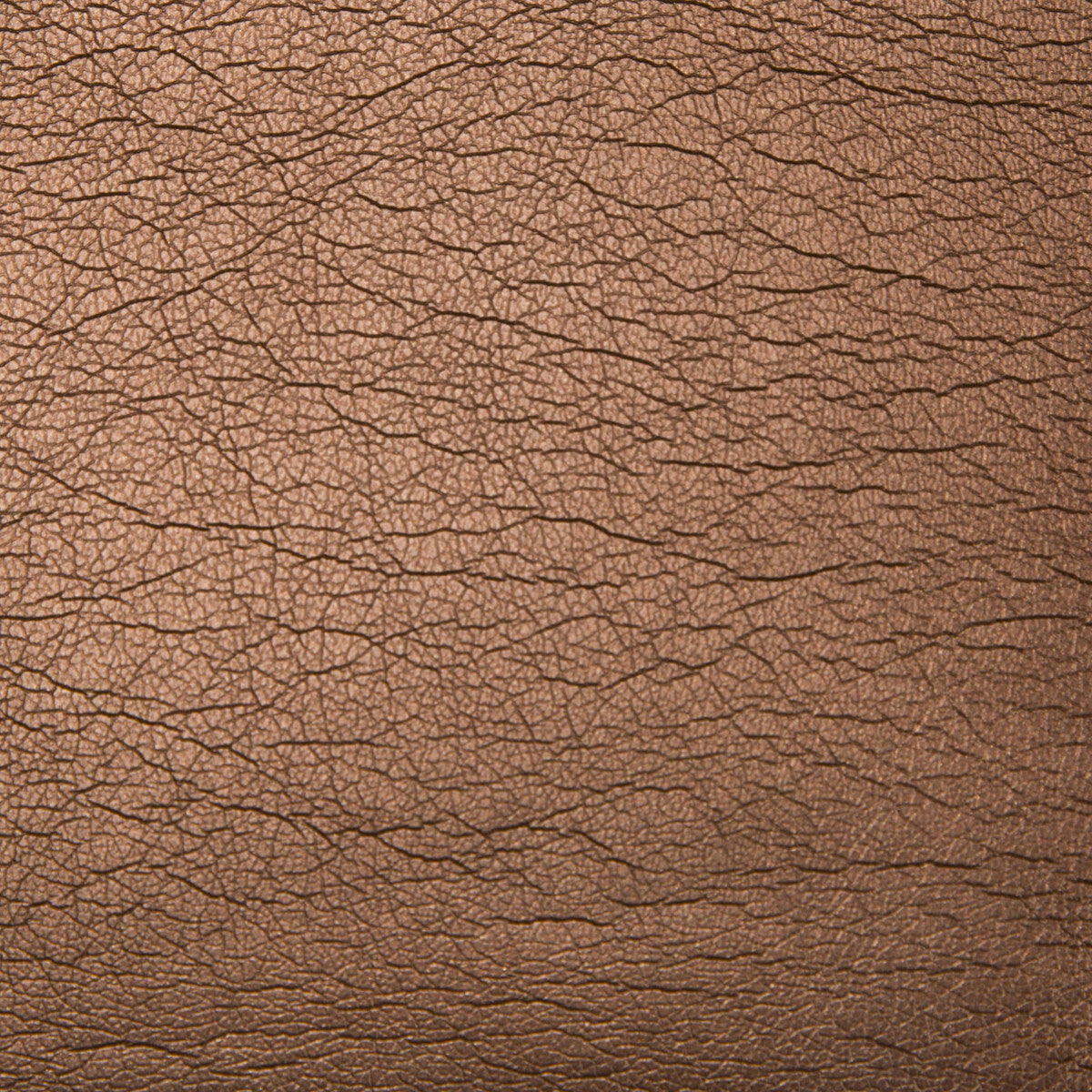 KRAVET CONTRACT MAXIMO.6.0 MAXIMO MAHOGANY Fabric - Eade's Wallpaper