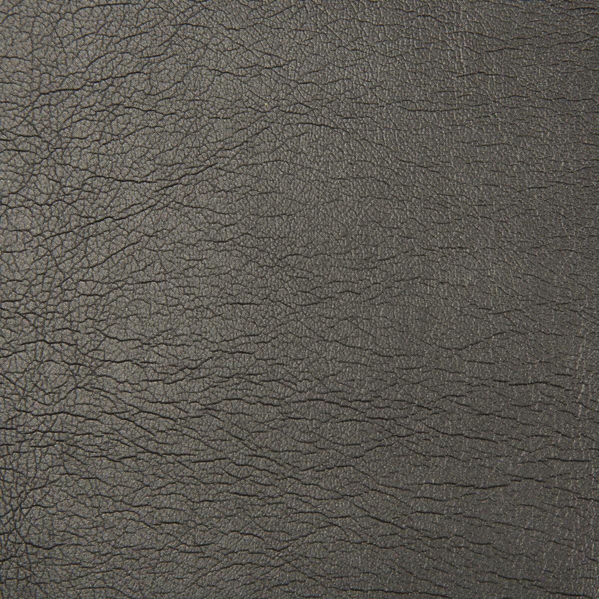 KRAVET CONTRACT MAXIMO.8.0 MAXIMO OBSIDIAN Fabric - Eade's Wallpaper