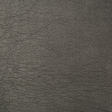 KRAVET CONTRACT MAXIMO.8.0 MAXIMO OBSIDIAN Fabric - Eade's Wallpaper