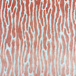 Eade’s MAZEN CORAL CORAL
