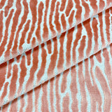 Eade’s MAZEN CORAL CORAL