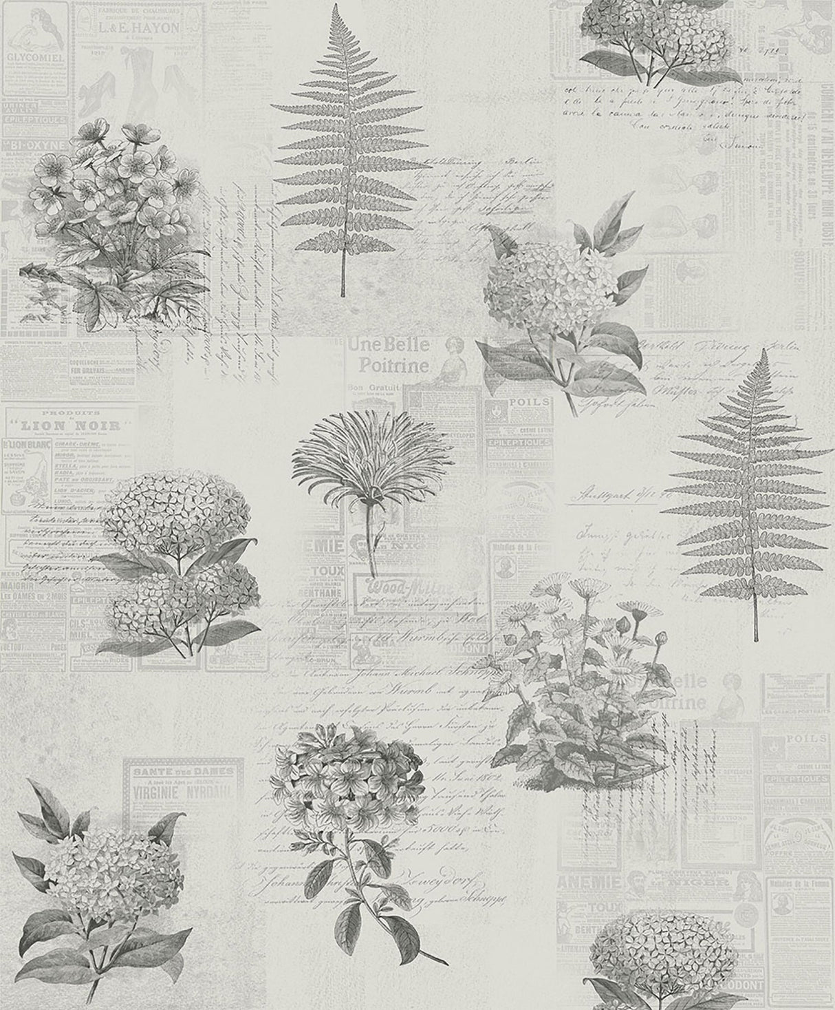 Midbec MD218120 Mixed Flowers Grey Field Notes Wallpaper