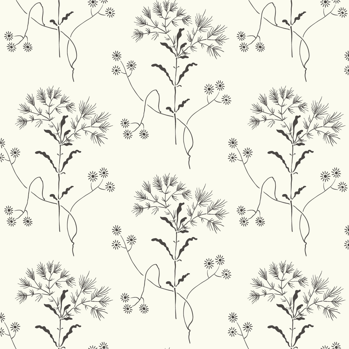 York ME1515 Wildflower Black & White Wallpaper